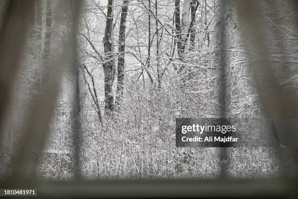 Snow Through Window Photos and Premium High Res Pictures - Getty Images