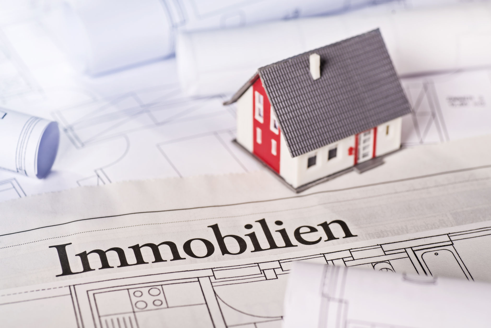 immobilien inserat