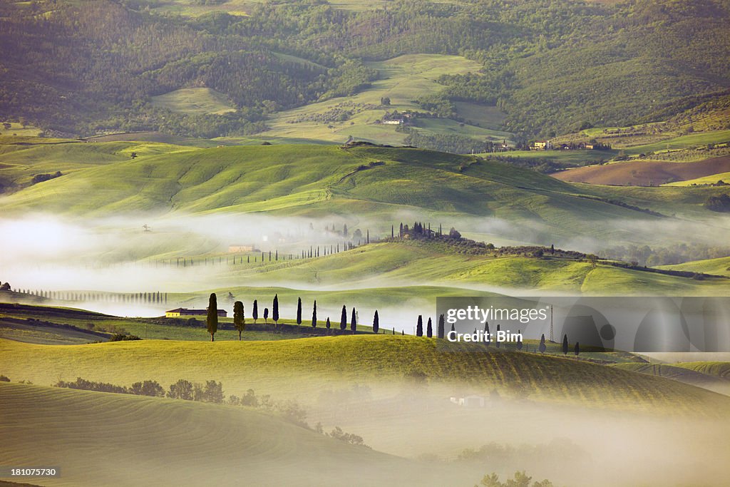 Rolling Landscape with Morning Fog, Tuscany, Italy