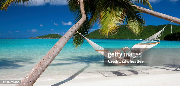 Woman reading a book in hammock at the Caribbean beach Woman reading a book in hammock at the Caribbean beach