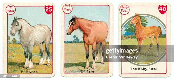 three horse cards victorian animal families game - mare stock illustrations