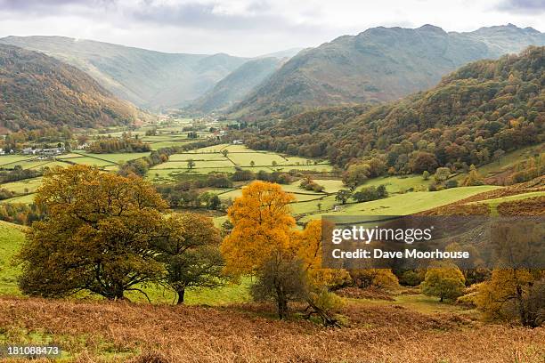 borrowdale valley, english lake district - borrowdale imagens e fotografias de stock