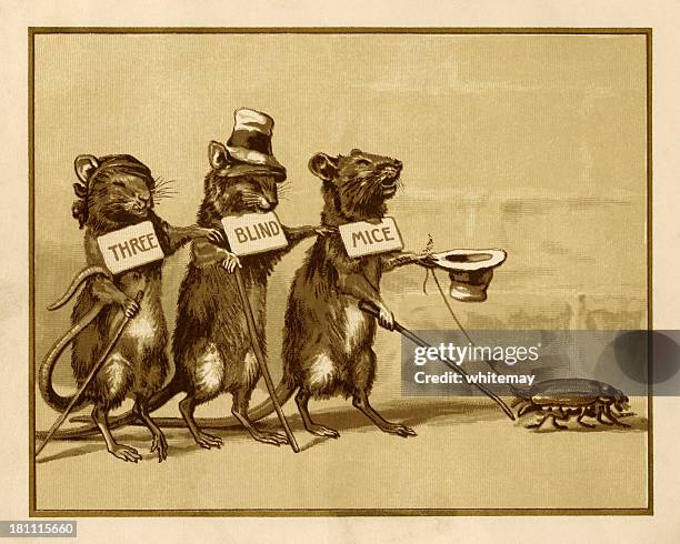 three blind mice - literatur stock illustrations