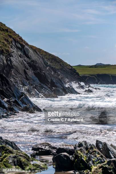 whitesands bay pembrokeshire - st davids stock pictures, royalty-free photos & images