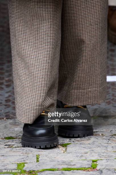 Queen Letizia of Spain, shoes detail, attends the closing of the 16th International Seminar of Language and Journalism: 'Cambio Climatico, Lenguaje y...