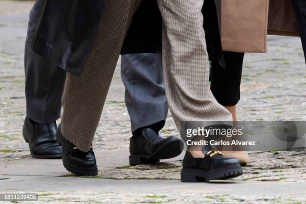 Queen Letizia of Spain, shoes detail, attends the closing of the 16th International Seminar of Language and Journalism: 'Cambio Climatico, Lenguaje y...