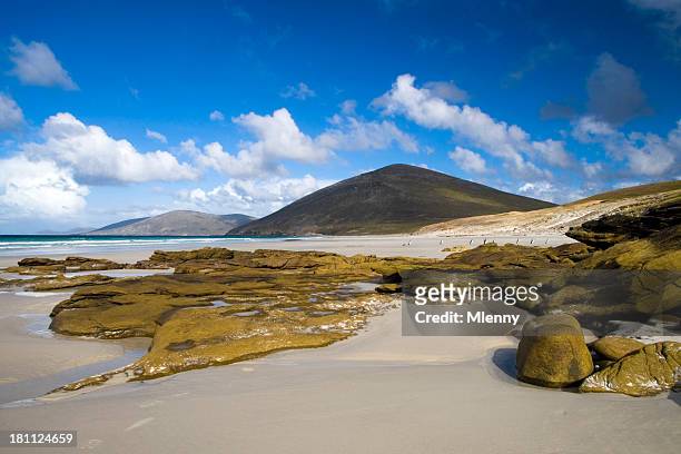 falkland beach scene - falkland islands stock pictures, royalty-free photos & images