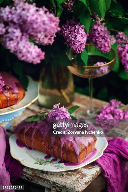 lavender glaze cake in the spring garden - purple lilac stock pictures, royalty-free photos & images