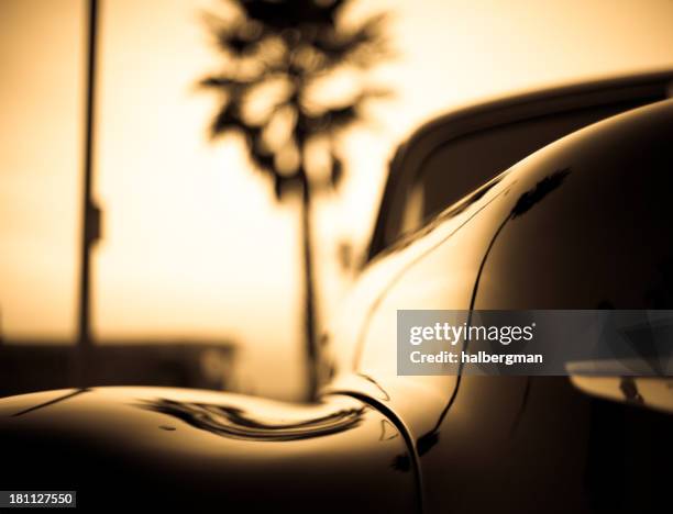 1940's classic car & palm tree - 1950s california stockfoto's en -beelden