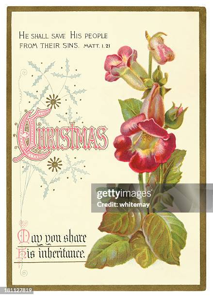 victorian christmas card with foxgloves, 1879 - foxglove stock illustrations
