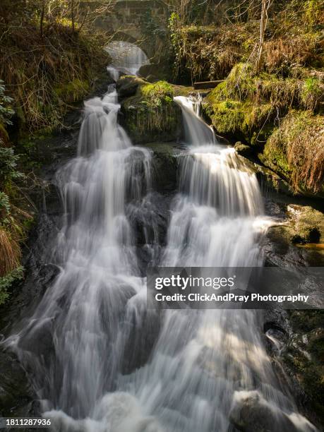 rouken glen waterfall in the late sun - park stock pictures, royalty-free photos & images