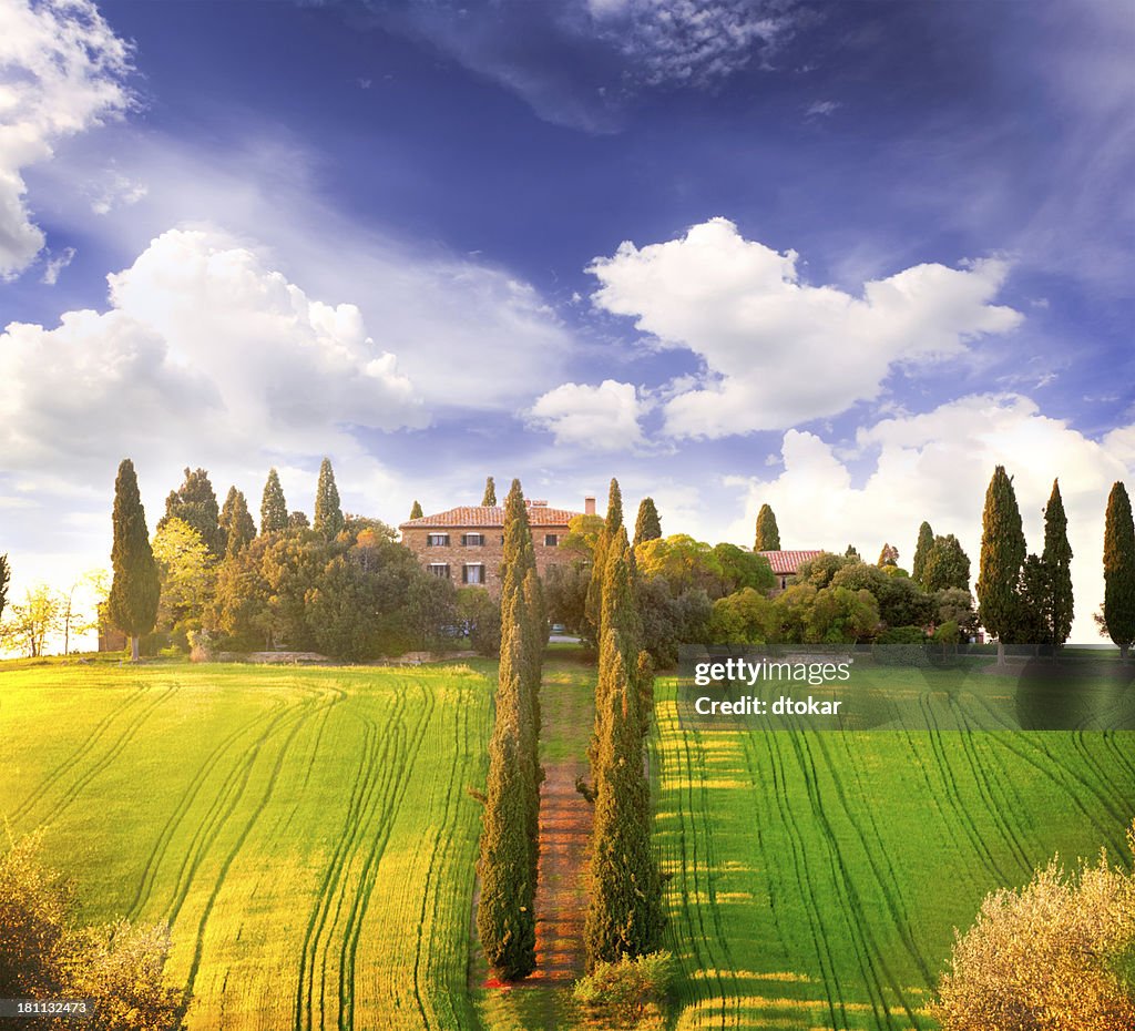 Old farm in field with trees