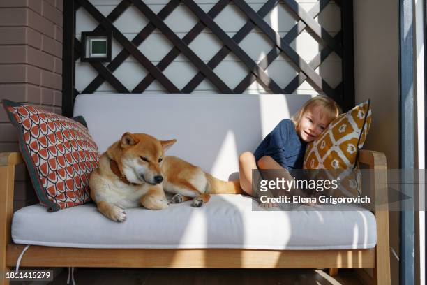 cute domestic dog and little child chilling out on cozy sofa with decorative pillows - cozy stock pictures, royalty-free photos & images