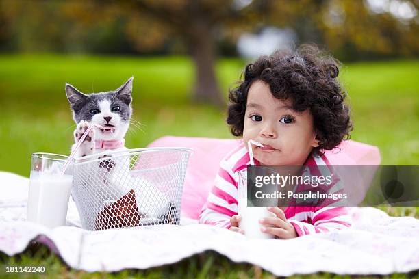 tun sie alles zusammen - cat drinking stock-fotos und bilder