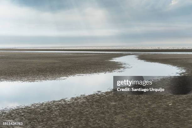 low tide at beach of koksijde - belgian coast stockfoto's en -beelden