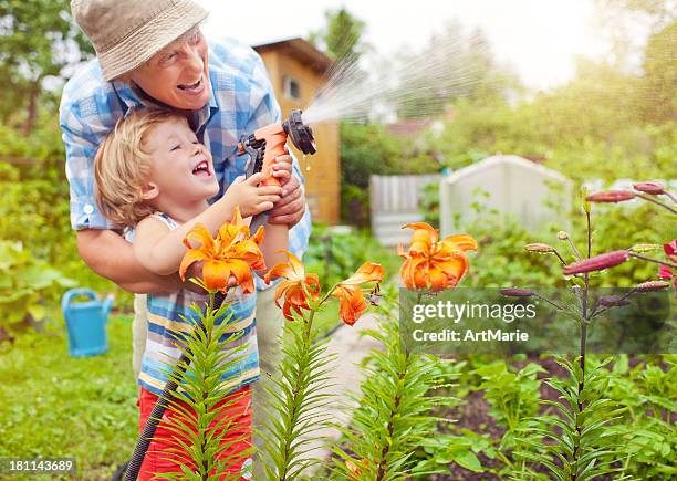 grandmother and grandson in the garden - watering plant stock pictures, royalty-free photos & images