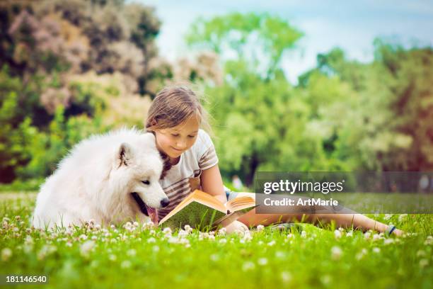 best friends - samoyed stock pictures, royalty-free photos & images