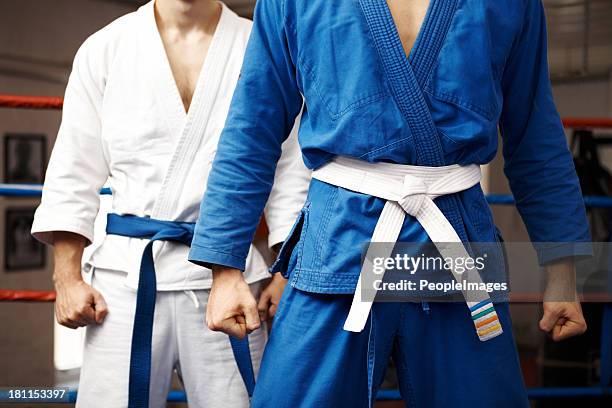 stand your ground - taekwondo stock pictures, royalty-free photos & images