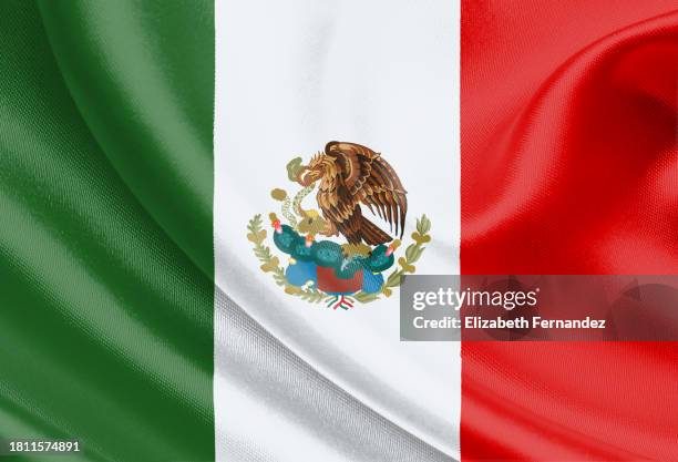 mexican flag - mexican flag stock pictures, royalty-free photos & images