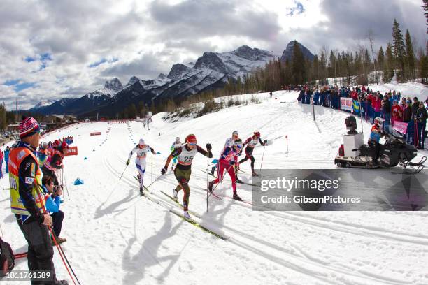 women's world cup cross-country ski sprint race at the canmore nordic centre in alberta, canada - fis women stock pictures, royalty-free photos & images