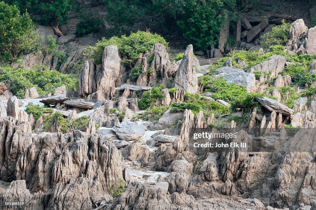 Mekong River landscape