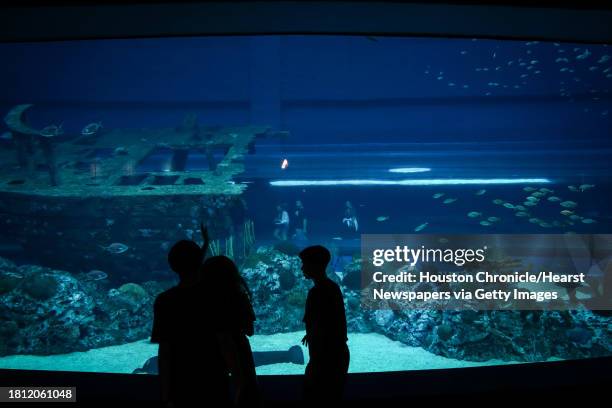 Children watch fish swim Thursday, Nov. 16 at the Texas State Aquarium in Corpus Christi.