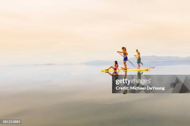 family riding paddle boards - fair trade stock pictures, royalty-free photos & images