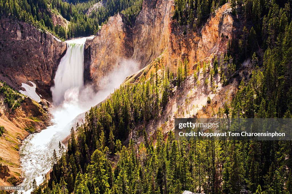 Yellowstone Waterfall