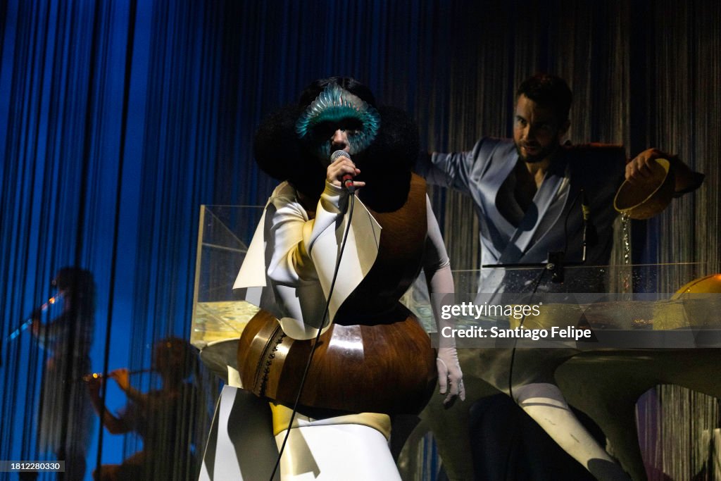 Bjork Concert In Leipzig