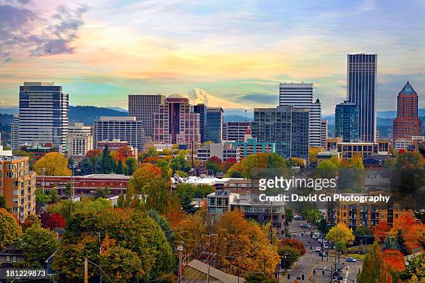 portland oregon downtown cityscape in the fall - mount hood stockfoto's en -beelden