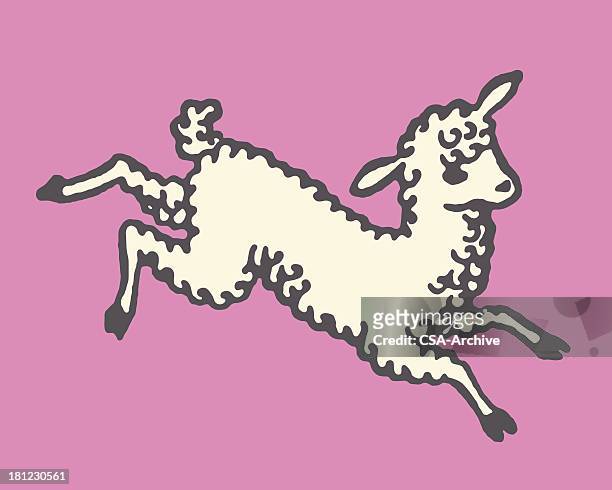 illustrazioni stock, clip art, cartoni animati e icone di tendenza di agnello saltare - agnello animale