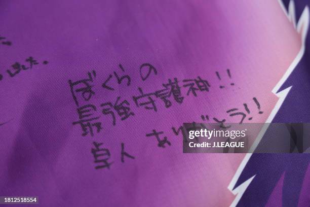 General view prior to the J.LEAGUE Meiji Yasuda J1 33rd Sec. Match between Sanfrecce Hiroshima and Gamba Osaka at EDION Stadium Hiroshima on November...