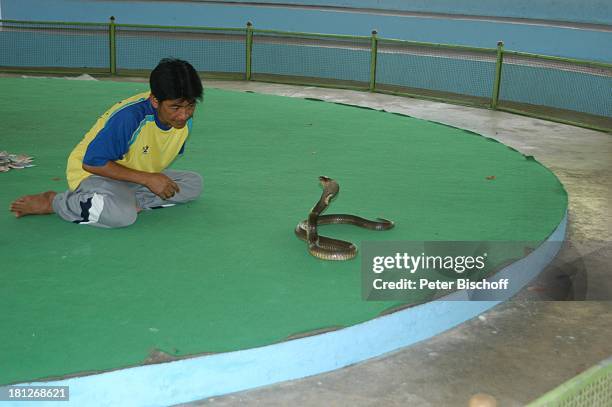 Einheimischer Angestellter einer Schlangenfarm, Bangkok/Thailand/Asien, , am Menam-Fluß , Schlange, Schlangen, Giftschlangen, Kobra, Tier, fangen,...