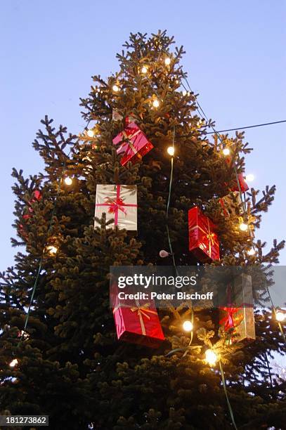 Weihnachtsmarkt in Stade, Deutschland, Europa, Reise, , Tanne, Tannenbaum, Christbaum, Weihnachtsbaum, Lichterkette, Lichterketten, Weihnachten,...