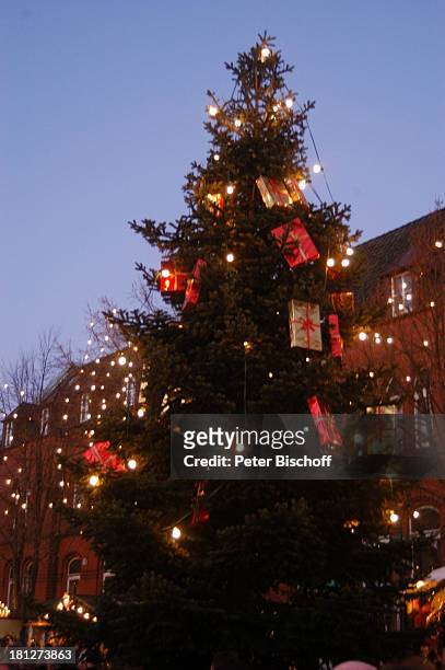 Weihnachtsmarkt in Stade, Deutschland, Europa, Reise, , Tanne, Tannenbaum, Christbaum, Weihnachtsbaum, Lichterkette, Lichterketten, Weihnachten,...