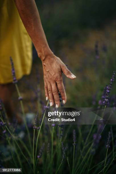 serene moment - serbia village stock pictures, royalty-free photos & images