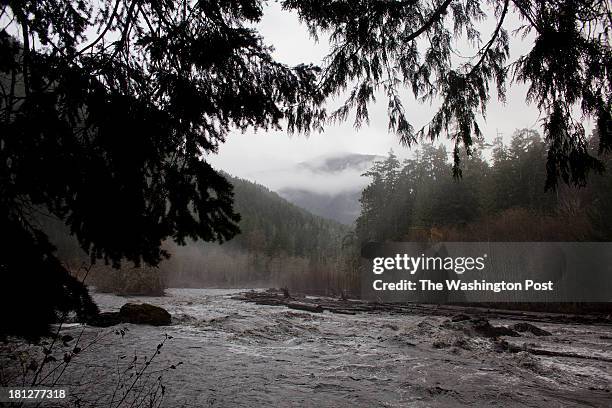 Rushing water of the mirky Elwha River carries sediments that were once trapped in the reservoir to the Strait of Juan de Fuca, the west of Port...