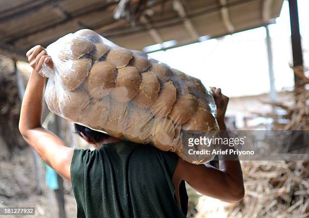 Worker carries bags of brown sugar in a small factory in Slumbung village. Most Indonesian people use brown sugar to sweeten foods and beverages....