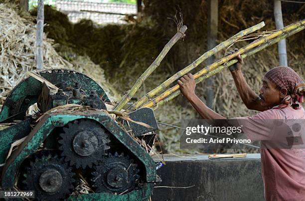 Worker pressing sugar cane, part of the process of making brown sugar in a small factory in Slumbung village. Most Indonesian people use brown sugar...