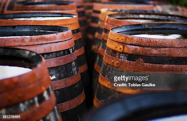 scottish whisky casks - tobias gaulke stock-fotos und bilder
