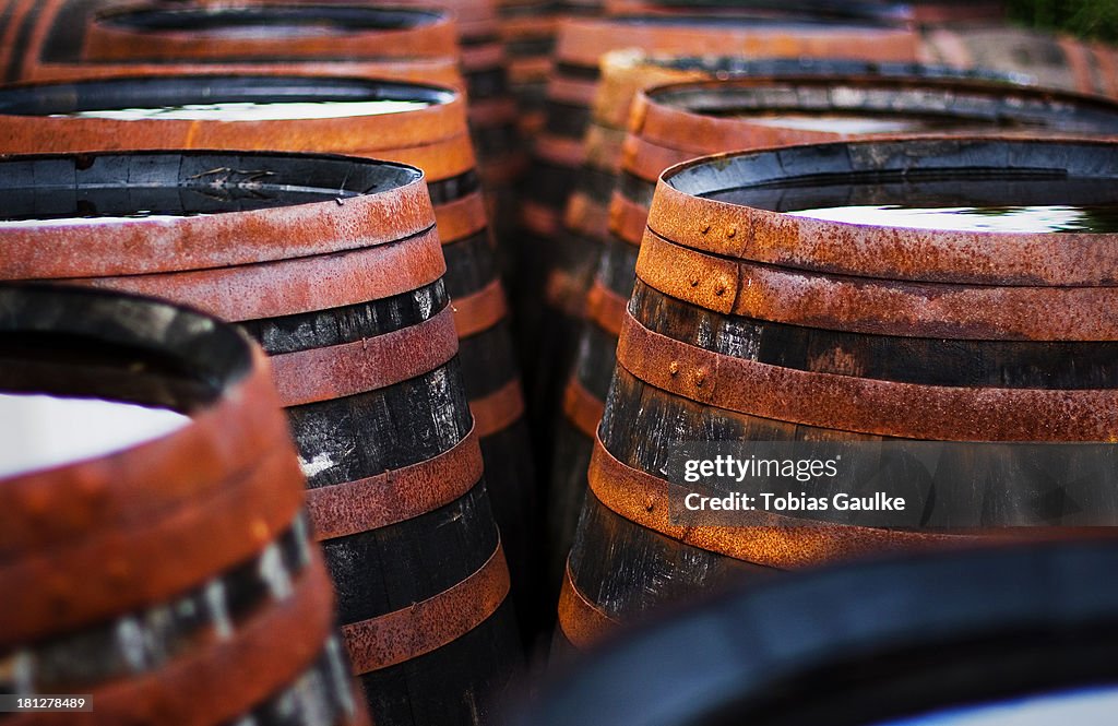 Scottish whisky casks