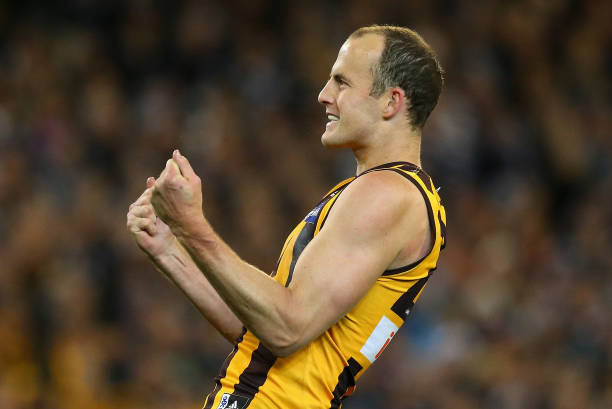 David Hale of the Hawks celebrates kicking a goal during the AFL First Preliminary FInal match between the Hawthorn Hawks and the Geelong Cats at...