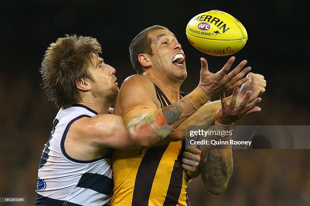 AFL 1st Preliminary Final - Hawthorn v Geelong