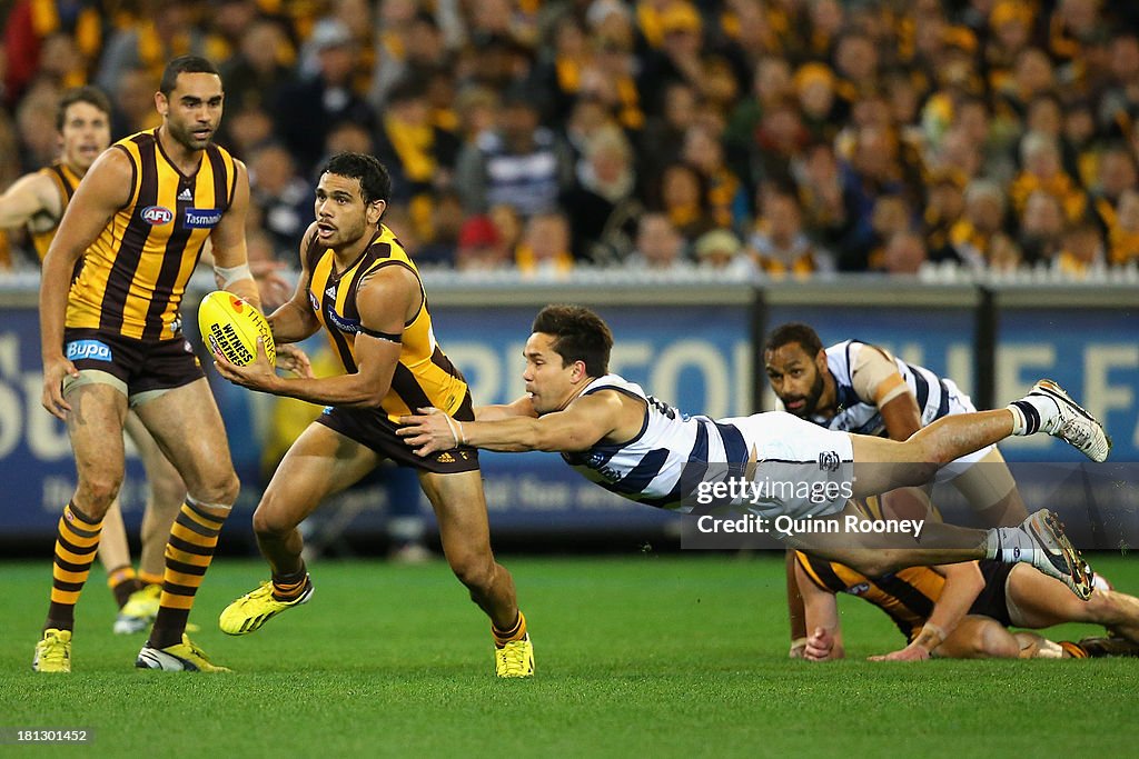 AFL 1st Preliminary Final - Hawthorn v Geelong