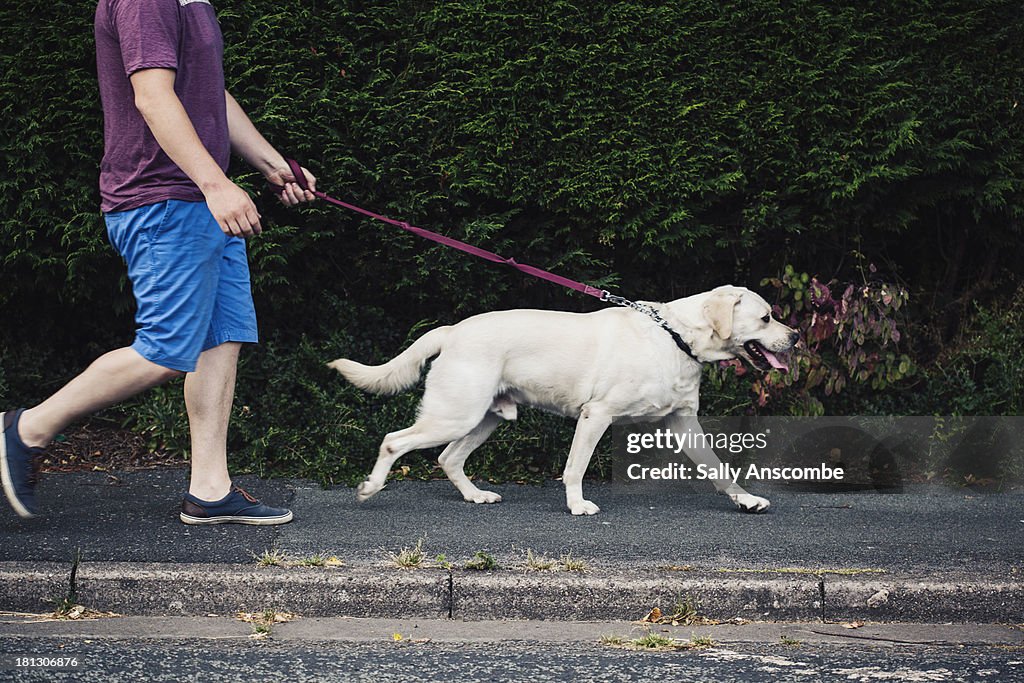 Man walking his pet dog