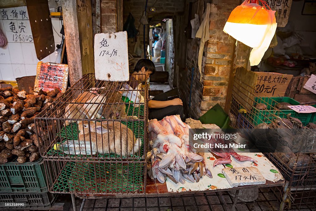 At a wet market in Guangzhou, China.