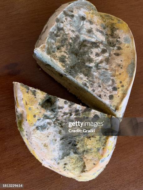 Mouldy Reed 103 Mouldy Kitchen Stock Photos, High-Res Pictures, and Images - Getty ...