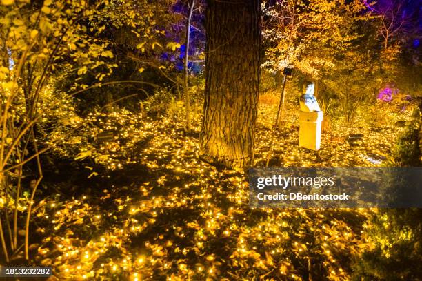 tree in a park illuminated with yellow led lights. concept of lighting, christmas, fantasy and majestic. - led street light stock pictures, royalty-free photos & images