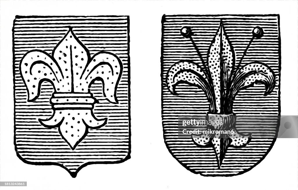 Old engraved illustration of common heraldic charge in the shape of a lily (depicted on the traditional coat of arms of France)