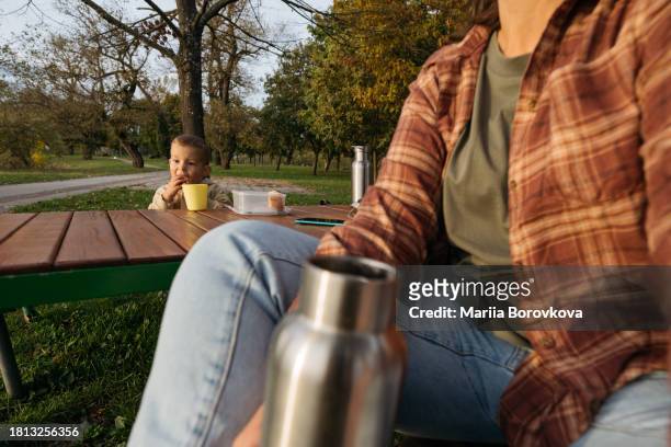 mother and toddler son having picnic together in park. - modern zagreb stock pictures, royalty-free photos & images